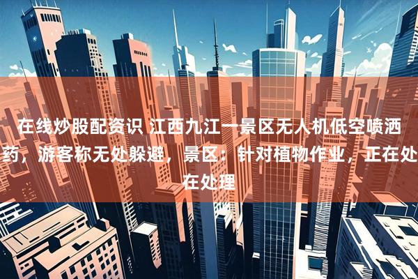 在线炒股配资识 江西九江一景区无人机低空喷洒农药，游客称无处躲避，景区：针对植物作业，正在处理